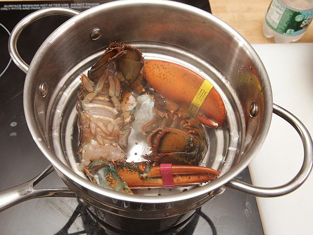 肢解的龙虾在蒸笼篮子上放在炉子上，准备烹饪