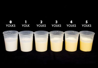 一排六夸脱大小的熟食杯，每一个都盛着奶油和不同数量的蛋黄，从0个蛋黄到5个蛋黄不等。蛋黄越多，里面的液体越黄。