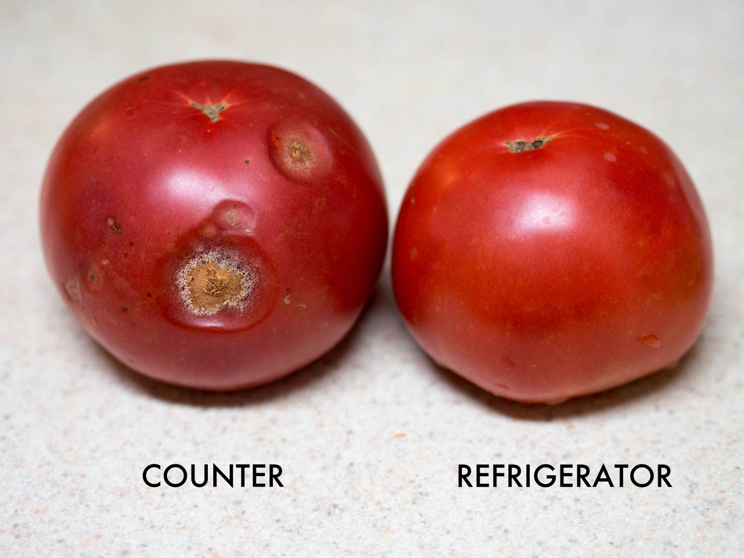 一个番茄在台面上放了四天，已经开始腐烂了，旁边的番茄在冰箱里放了同样的时间，仍然没有腐烂