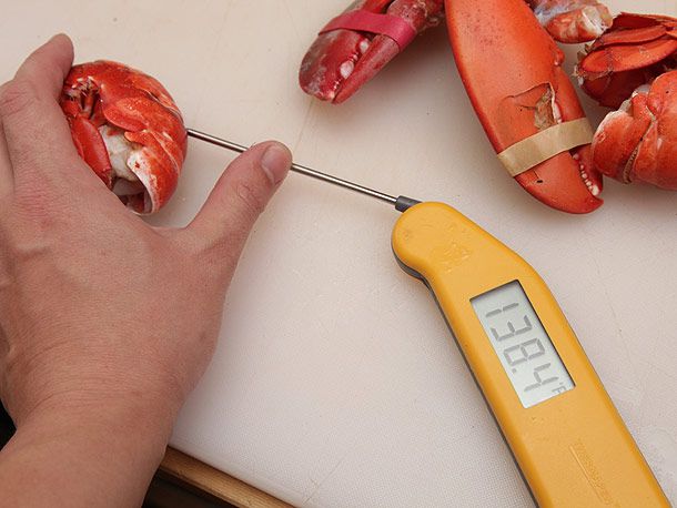 用即时读数温度计测试龙虾尾巴的熟度