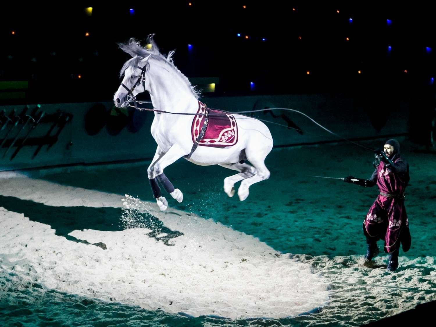 在沙质竞技场的聚光灯下，一匹白马在表演跳跃，旁边是一名身着中世纪服饰的男子