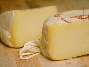 20090423 -吉娜cheese.jpg