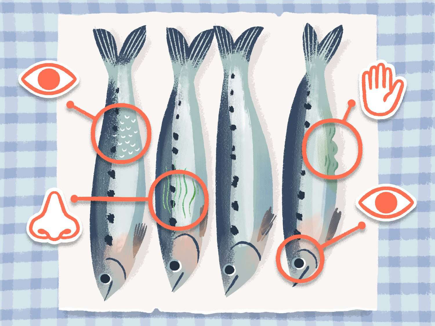 说明四个沙丁鱼的工作表面,各种图标(眼睛、鼻子和手)表示,多种感觉的线索将协助教程清洁沙丁鱼