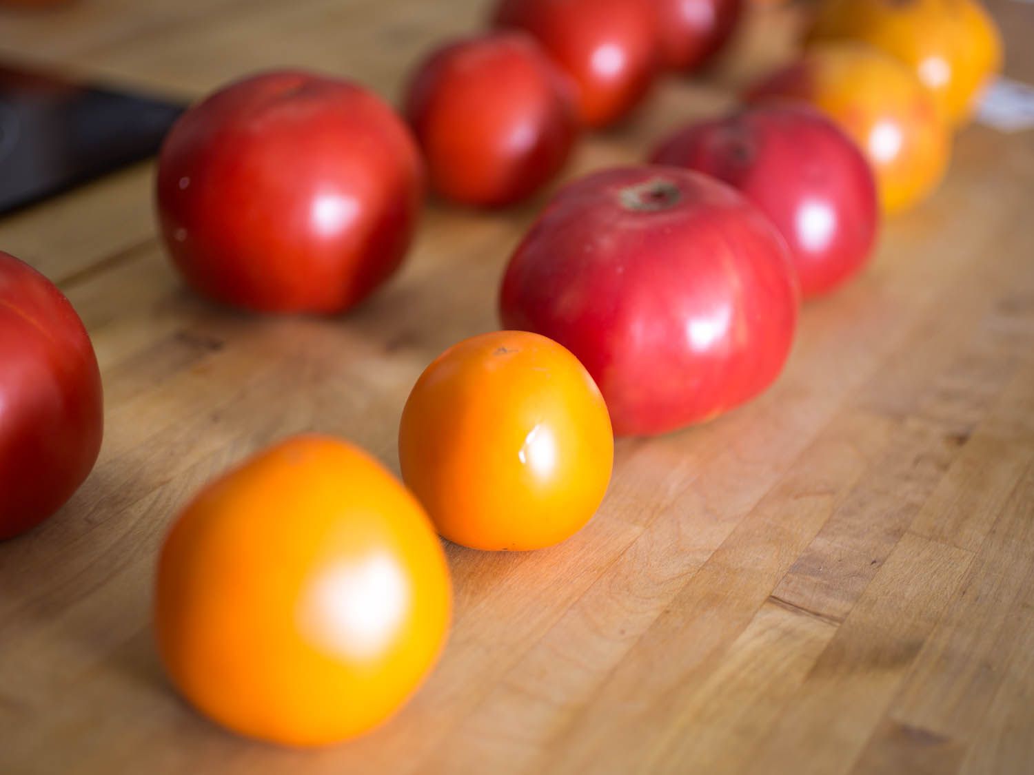 20140922 -番茄-测试- - 3 -维姬-沃斯克- 3.部分jpg