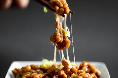 Chopsticks holding natto over a square plate of natto, fermented soybeans that are a common breakfast in Japan..