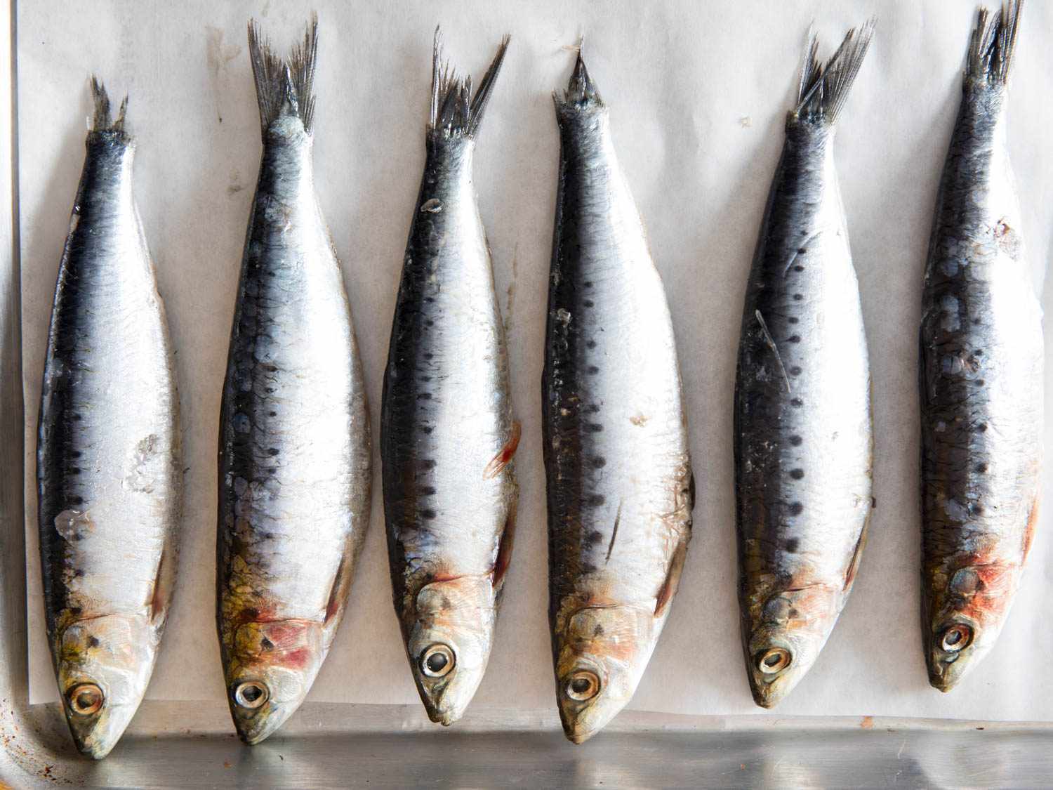Fresh sardines lying side by side.