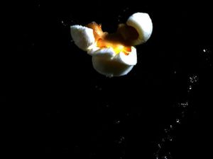 20110221——现代主义popcorn.jpg——美食
