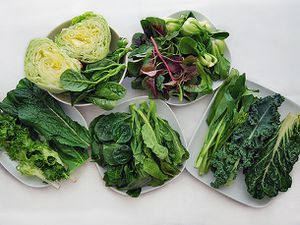 各种不同种类的中国蔬菜在五个白色的盘子。