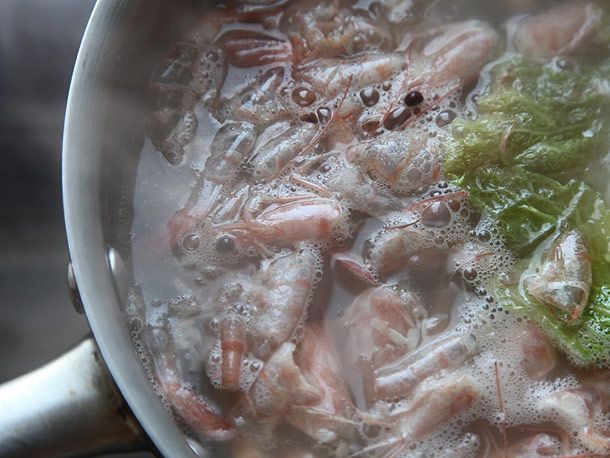 虾壳漂浮在鸡肉/猪肉汤上。