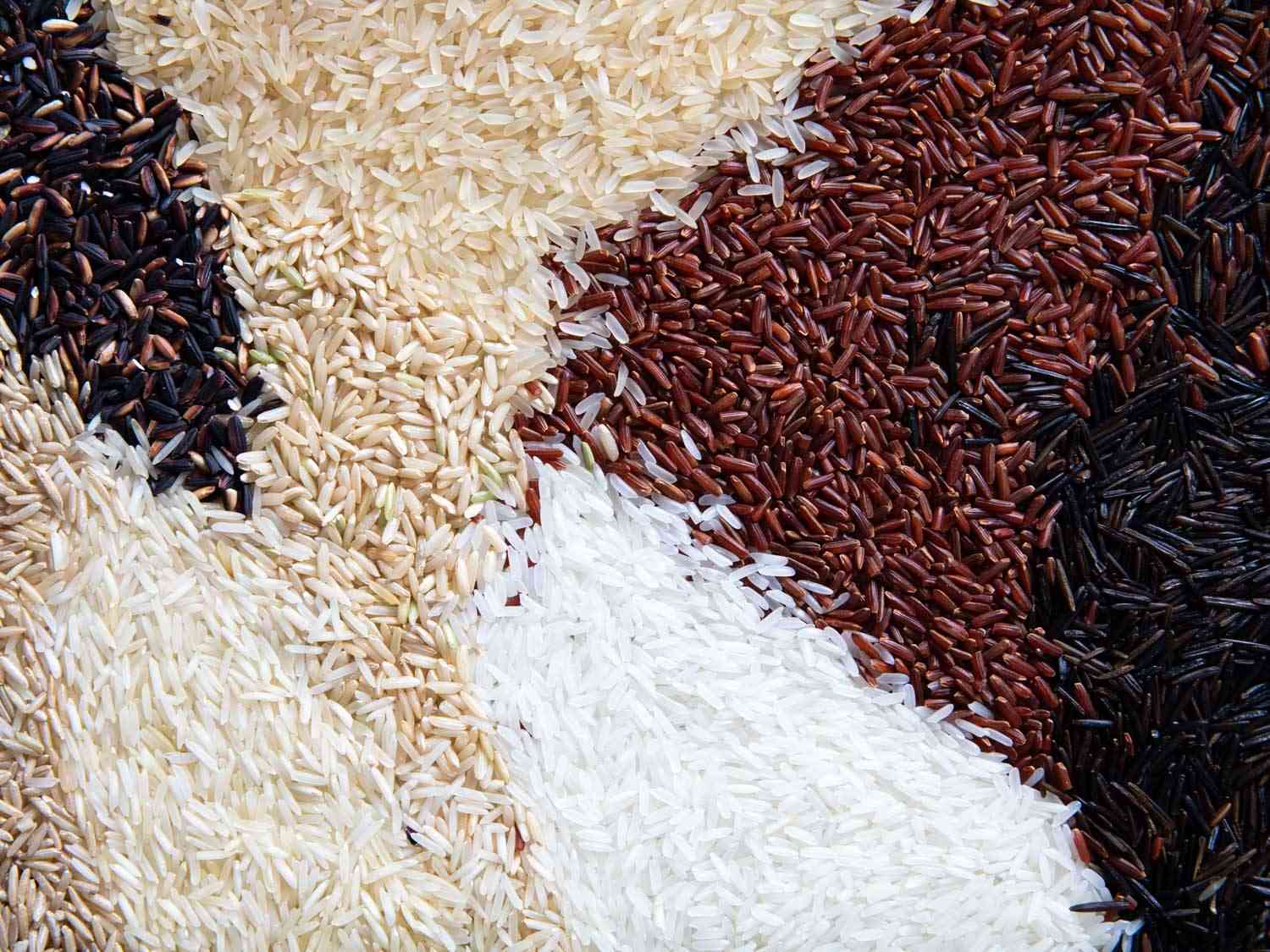 许多不同品种的水稻巧妙地散布在一个表面上