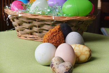20140508 -亚洲-鸡蛋eggs2.jpg——复活节