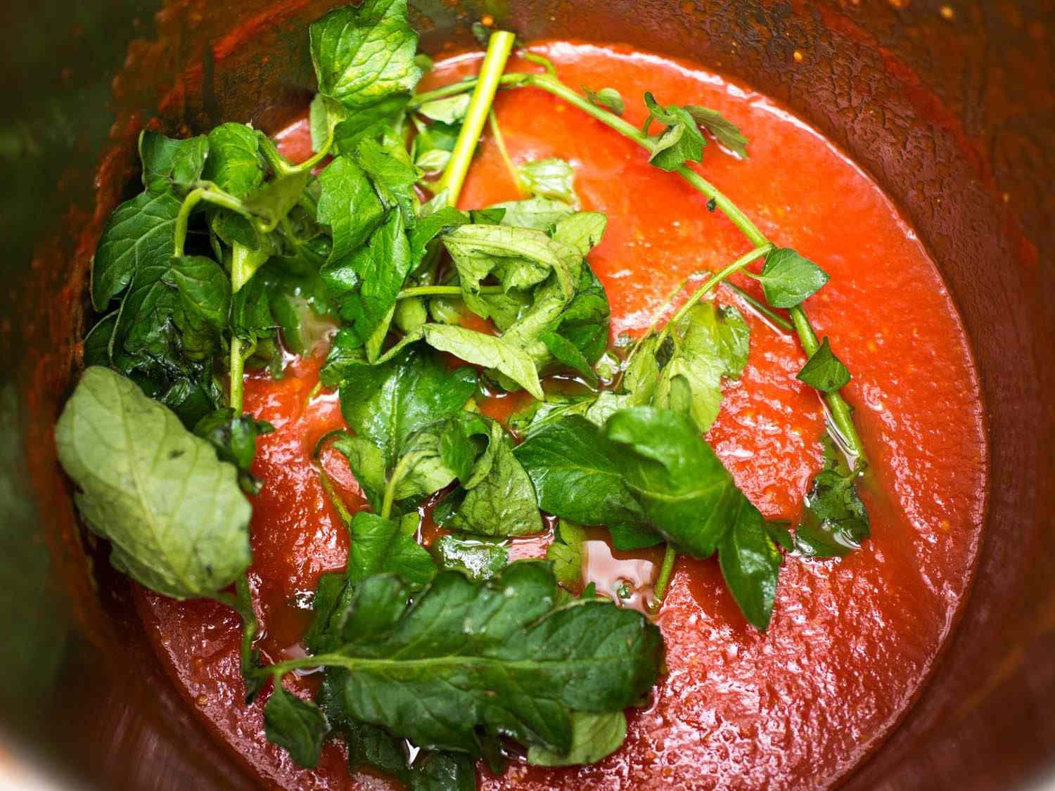 西红柿的叶子和茎加入一锅新鲜的番茄酱。