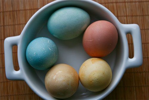 22100401——eggs13.jpg