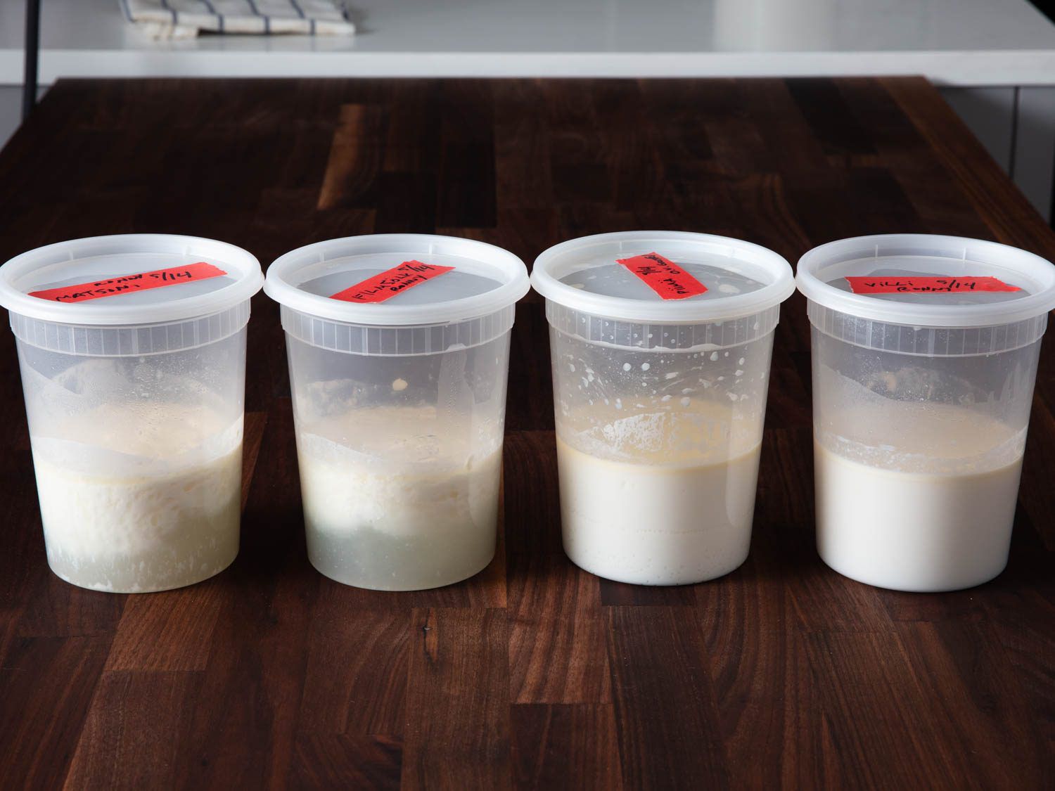 四个熟食容器不同的传家宝酸奶文化放在桌子上。