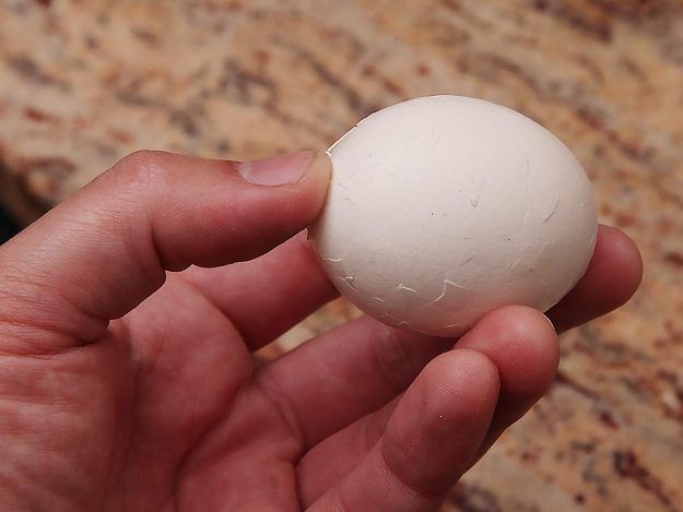 蛋壳全破了的煮鸡蛋