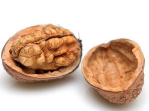 22100414——walnuts.jpg