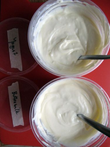 试批用酸奶和脱脂牛奶制成的crème fraîche。