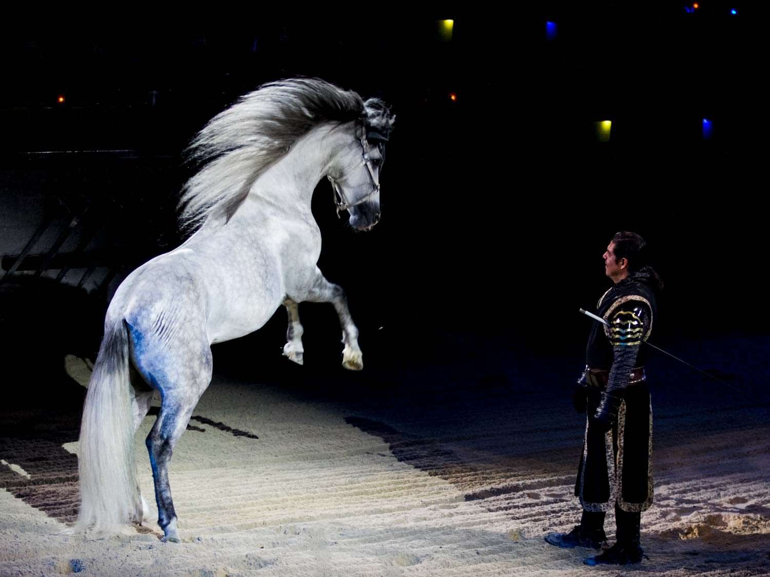 沙质竞技场上，一匹两条腿直立的白马，旁边是一个穿着中世纪服装的人