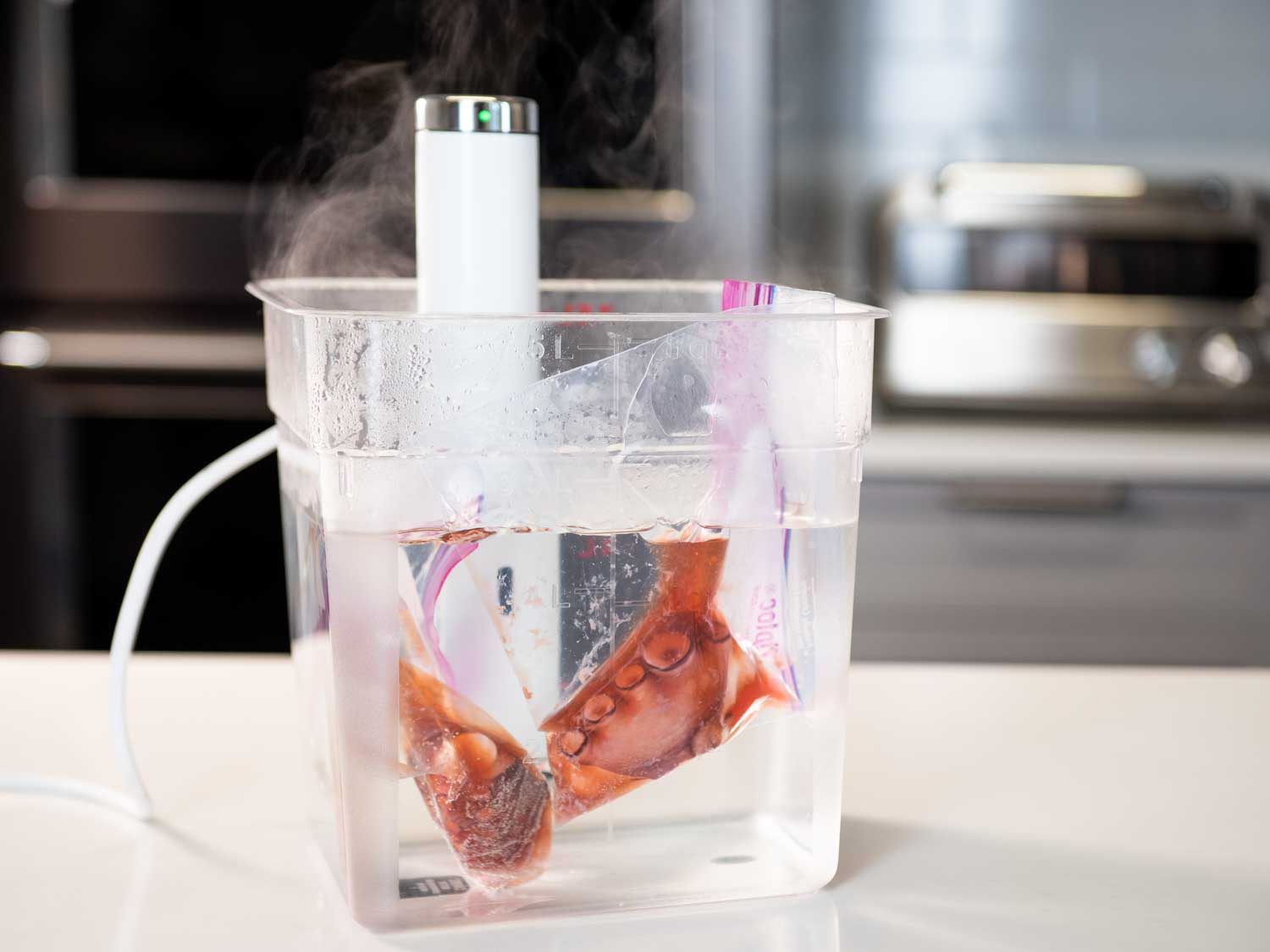 一个真空装置展示了一个浸入式循环器在一个装满水的透明容器中，煮熟的章鱼触手块漂浮在漂浮在水中的拉链锁袋中