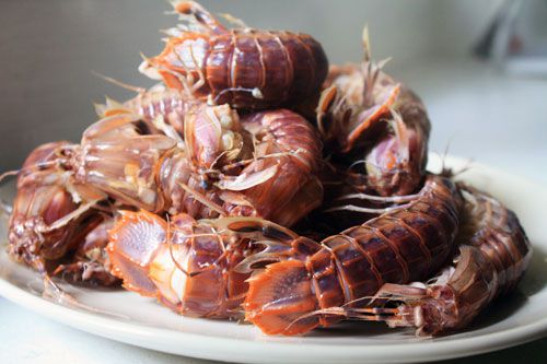 20101005 - mantisshrimp cooked.jpg