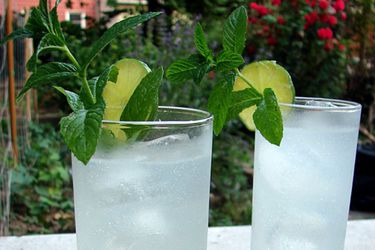 Two cocktails outside, garnished with mint and lime slice.