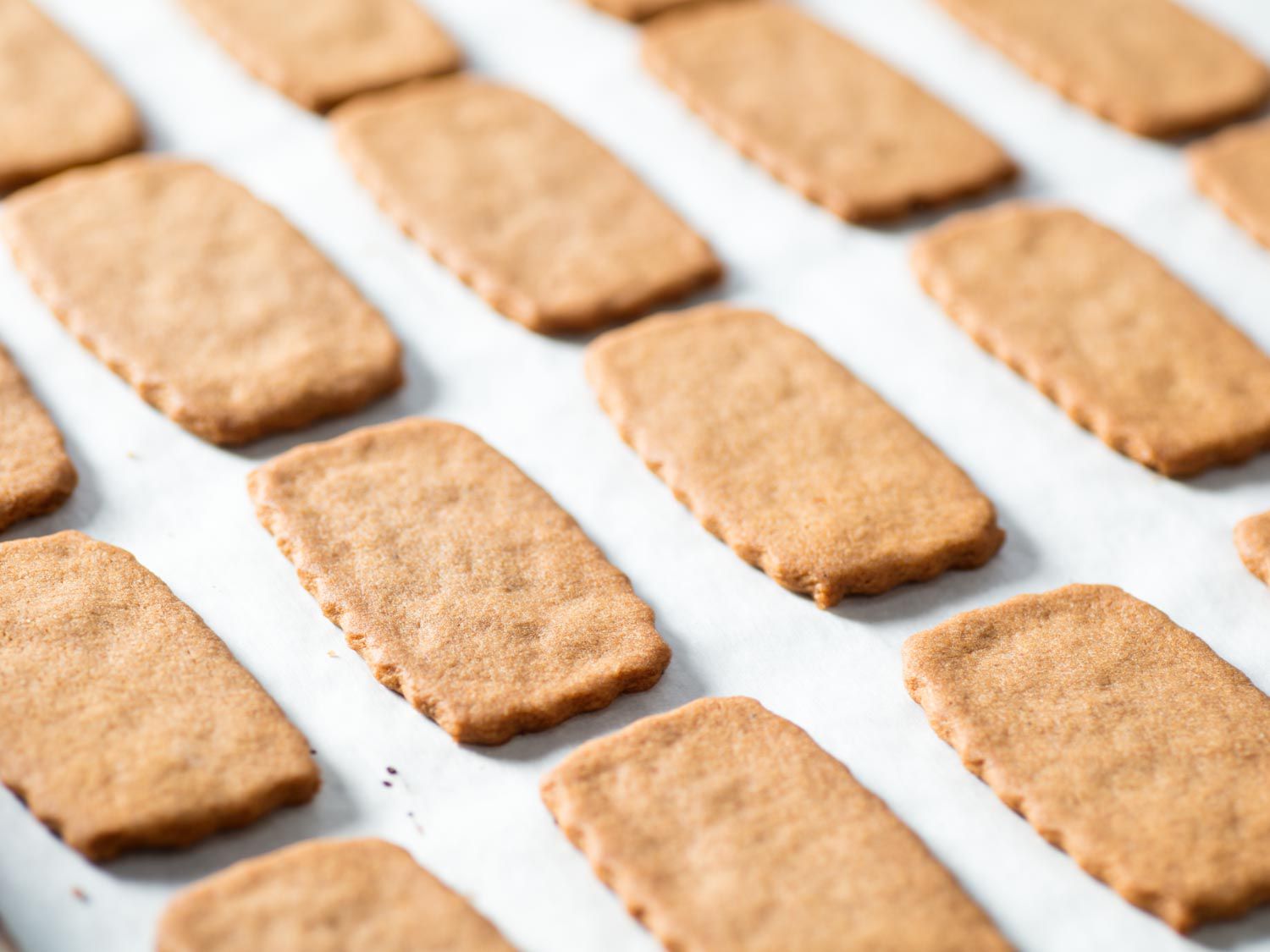 Baked Biscoff, or rectangular speculoos cookies, on a baking sheet lined with parchment paper.