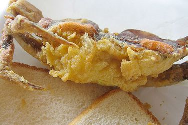 Fried soft shell crab with two slices of bread.