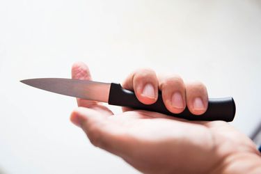 a hand holding a pairing knife