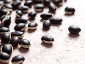 Close-up of njahi (Kenyan Black Beans)