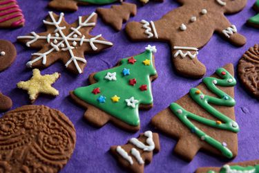 20181126-gingerbread-cookies-vicky-wasik-39