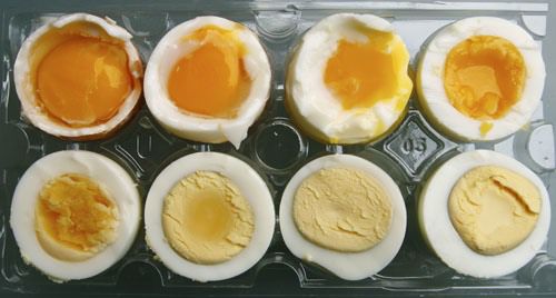 煮鸡蛋在塑料蛋盒与顶部切断，以显示熟的范围在不同的煮沸时间。gydF4y2Ba